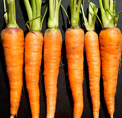 Image showing raw ripe carrots