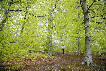 Image showing Lonely walk