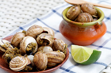 Image showing Snails with Garlic Butter