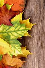 Image showing Frame of Maple Leafs