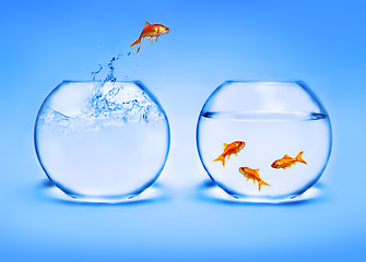 Image showing goldfish jumping out of the water