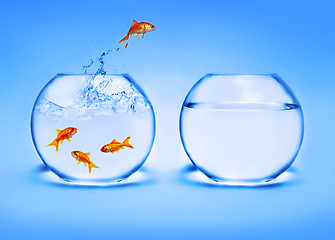 Image showing goldfish jumping out of the water