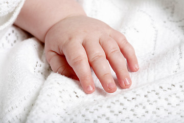 Image showing babies hand