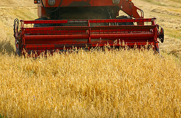 Image showing Working combine harvester in crop field