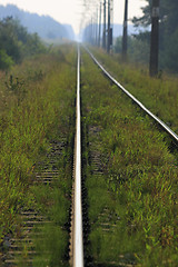 Image showing Grassy rails