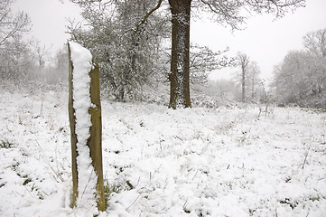 Image showing Snowy pole