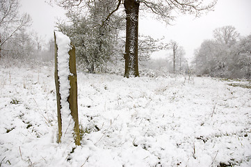 Image showing Snowy pole