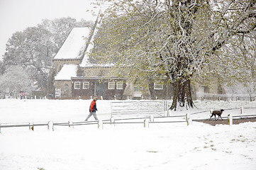 Image showing Walking in the snow