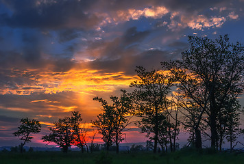 Image showing Fantastic sunset with halo