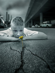 Image showing Boy and a flower