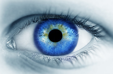 Image showing  Blue eyes