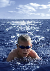 Image showing The swimmer