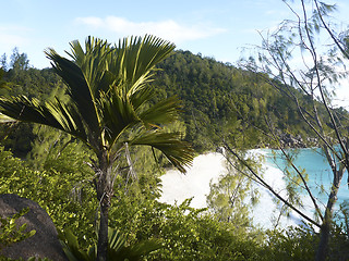 Image showing Tropical landscape of coast of Anse Georgette, Seychelles   