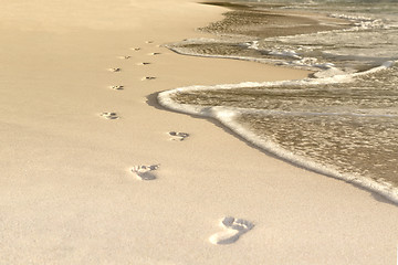 Image showing Footprints at the beach, Seychelles