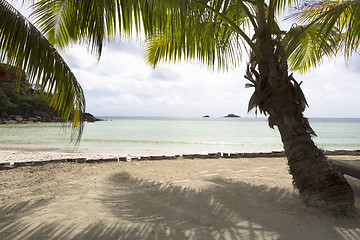 Image showing Tropical landscape view, Seychelles