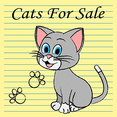 Image showing Cats For Sale Means On Market And Buy