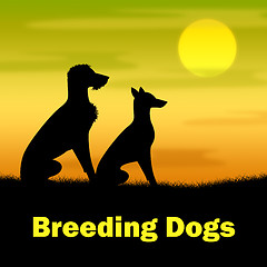 Image showing Breeding Dogs Shows Reproducing Doggy And Canines