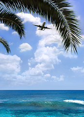 Image showing Airplane over palm