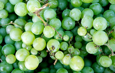 Image showing Wine grapes