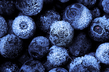 Image showing Blueberries