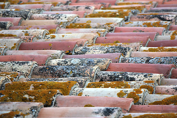 Image showing Old roof tiles