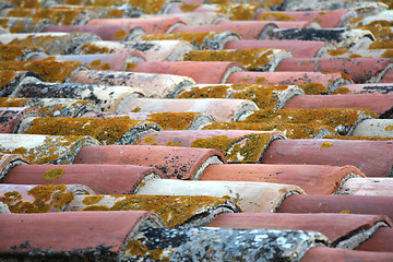 Image showing Old roof tiles