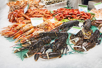 Image showing Lobsters, shrimps and prawns