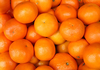 Image showing Big oranges