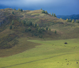 Image showing Altay mountains in Siberia