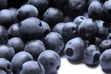 Image showing Macro shot of wet fresh blueberry