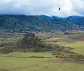 Image showing Altay mountains in Siberia