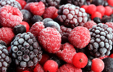 Image showing Mixed berries