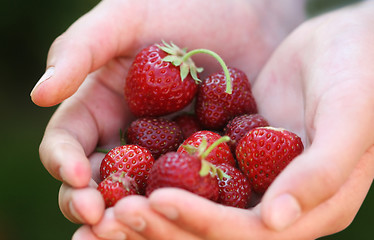 Image showing strawberries