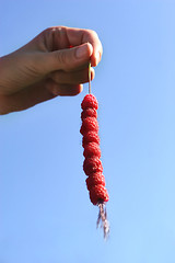 Image showing wild strawberry