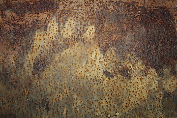 Image showing traces left by brown bear on rusty metal door