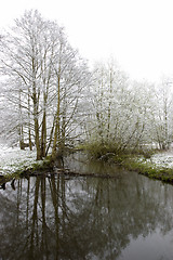 Image showing Winter stream