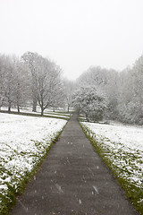 Image showing Winter path