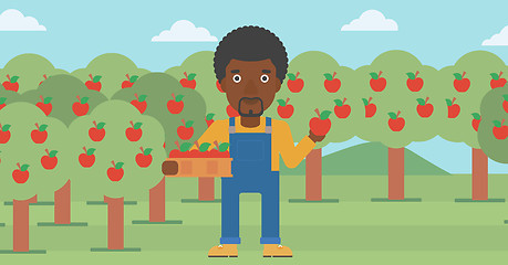 Image showing Farmer collecting apples.