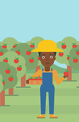 Image showing Farmer collecting apples.