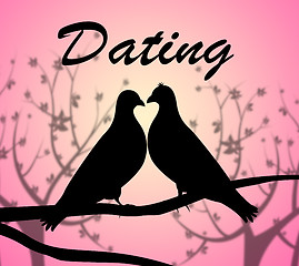 Image showing Dating Doves Means Internet Net And Partner