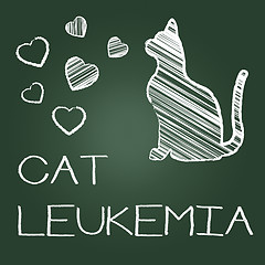 Image showing Cat Leukemia Represents Malignant Pedigree And Cancer