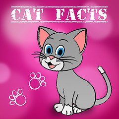 Image showing Cat Facts Indicates Details Kitty And Pets