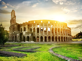 Image showing Bird over Colosseum