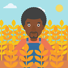 Image showing Man in wheat field.