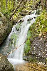 Image showing Stream in the Green