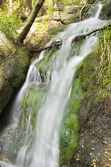 Image showing Stream in the Green