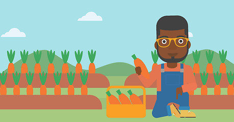 Image showing Farmer collecting carrots.