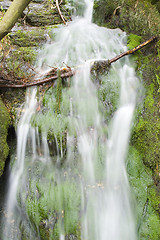 Image showing Stream in the Green