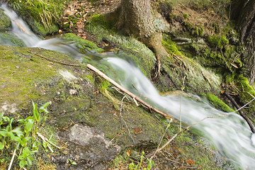 Image showing Stream in the Green