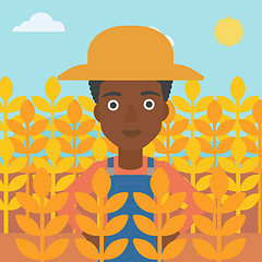 Image showing Man in wheat field.